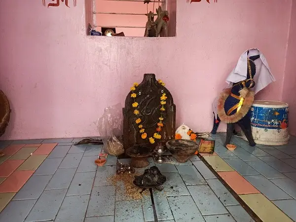 Veer Goga Ji Mandir